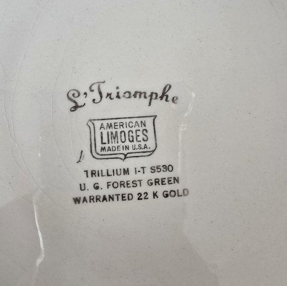 Trillium Forest Green Filigree By Limoges-American 14' Oval Serving Platter. - Picture 5 of 5